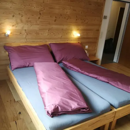 Haus Rhaetikon 1. Og, Links Апартаменты